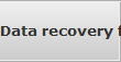 Data recovery for Lewisville data
