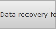 Data recovery for Lewisville data